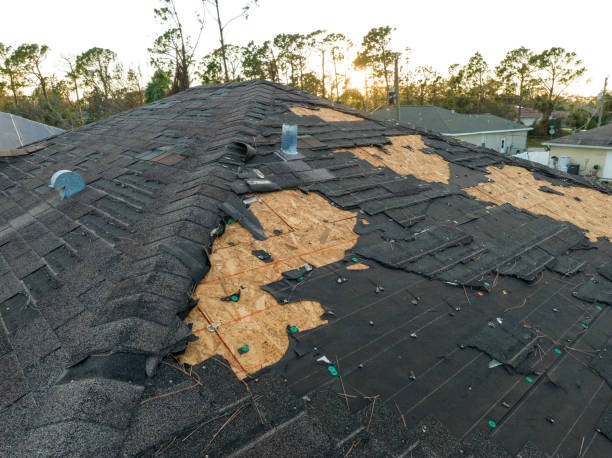 Professional Roofing Service in Cullman, AL